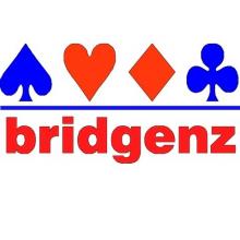 Bridgenz.co.nz